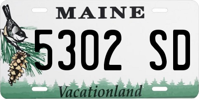 ME license plate 5302SD