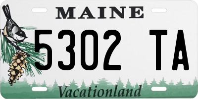 ME license plate 5302TA
