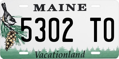 ME license plate 5302TO