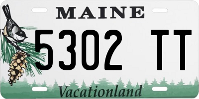 ME license plate 5302TT