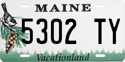 ME license plate 5302TY