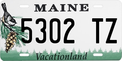 ME license plate 5302TZ