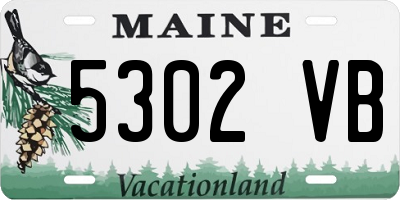 ME license plate 5302VB