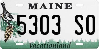 ME license plate 5303SO
