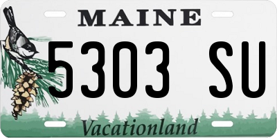 ME license plate 5303SU