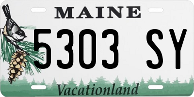 ME license plate 5303SY