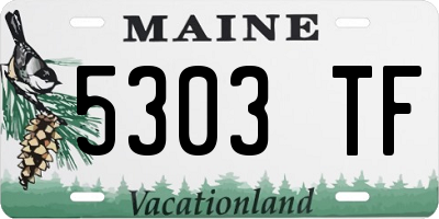 ME license plate 5303TF