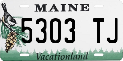 ME license plate 5303TJ