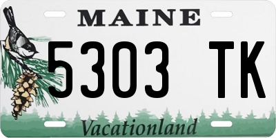 ME license plate 5303TK