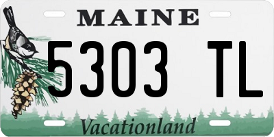 ME license plate 5303TL