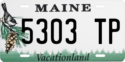 ME license plate 5303TP