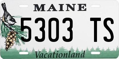 ME license plate 5303TS