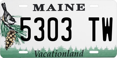 ME license plate 5303TW