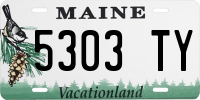 ME license plate 5303TY