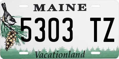 ME license plate 5303TZ