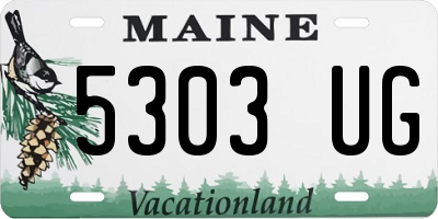ME license plate 5303UG