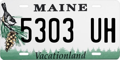 ME license plate 5303UH