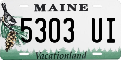 ME license plate 5303UI