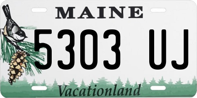 ME license plate 5303UJ