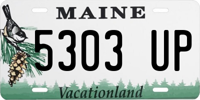 ME license plate 5303UP
