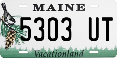 ME license plate 5303UT