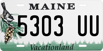 ME license plate 5303UU