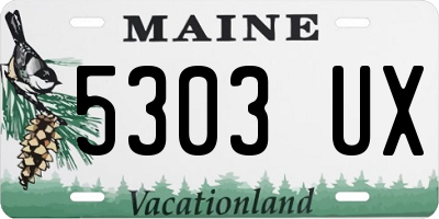 ME license plate 5303UX