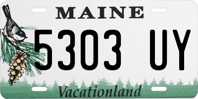 ME license plate 5303UY