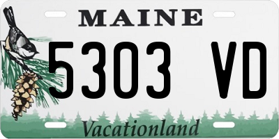 ME license plate 5303VD