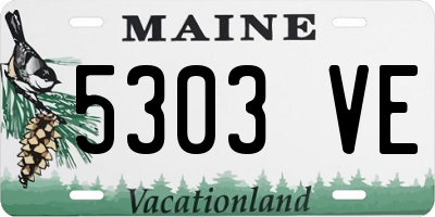 ME license plate 5303VE