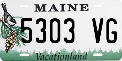 ME license plate 5303VG