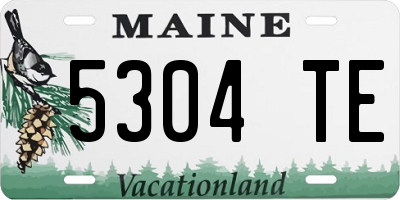 ME license plate 5304TE