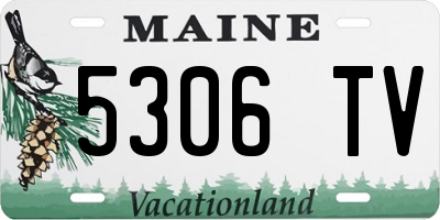 ME license plate 5306TV