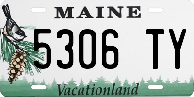 ME license plate 5306TY