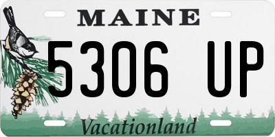 ME license plate 5306UP
