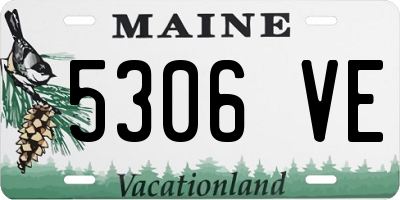 ME license plate 5306VE