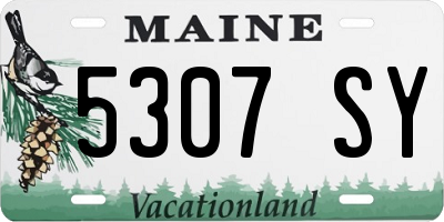 ME license plate 5307SY
