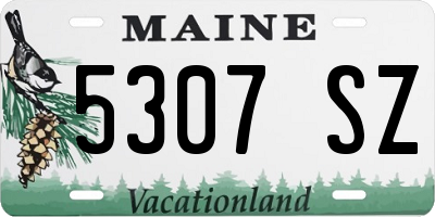 ME license plate 5307SZ