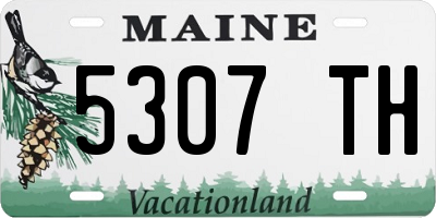 ME license plate 5307TH