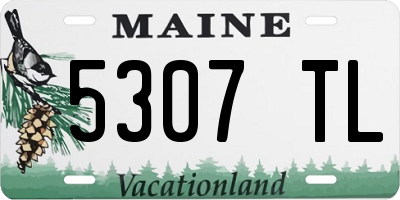 ME license plate 5307TL