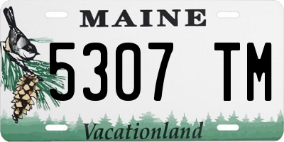 ME license plate 5307TM