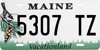 ME license plate 5307TZ
