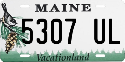 ME license plate 5307UL