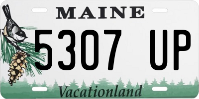 ME license plate 5307UP