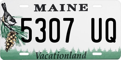 ME license plate 5307UQ