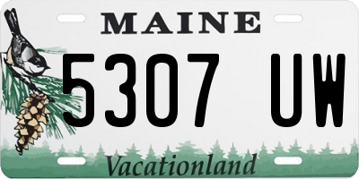 ME license plate 5307UW