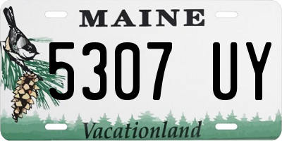 ME license plate 5307UY