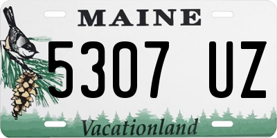 ME license plate 5307UZ