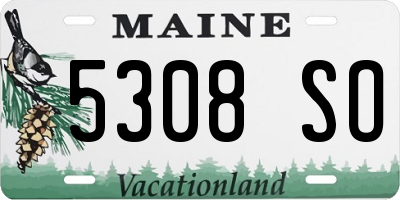 ME license plate 5308SO