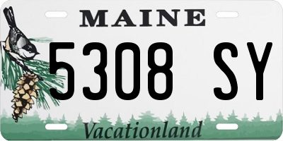 ME license plate 5308SY